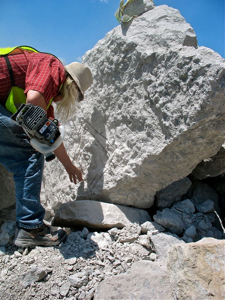 CRN at work to extract a large nautiloid