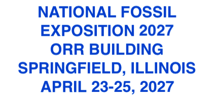 The MAPS Fossil Expo is the largest show in the world that exhibits fossils exclusively. Click to learn more.