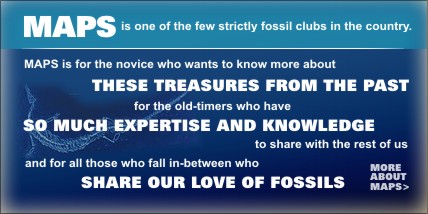 MAPS is one of the few strictly fossil clubs in the country. Click for more info. about MAPS.